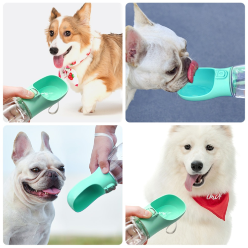 Outdoor Travel Feeder Bowl for Pets