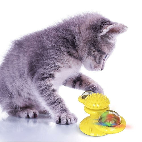 Interactive LED Light-Up Cat Ball Toy