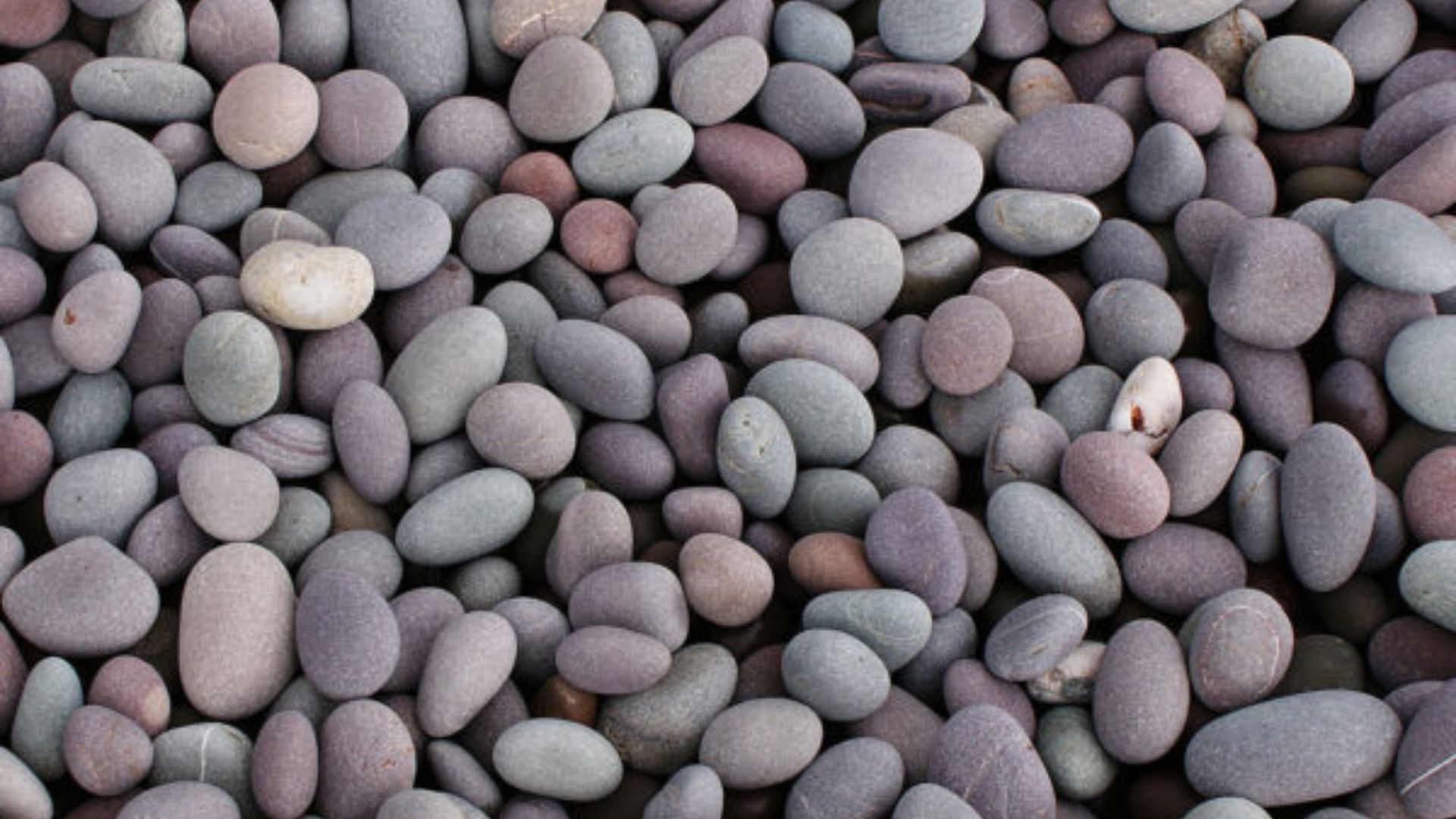 Indian Pebble Stone