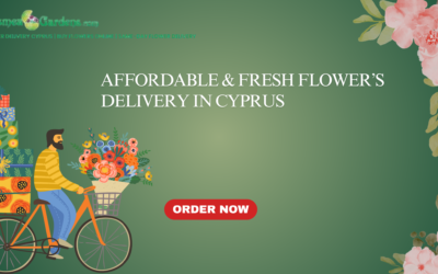 cyprus flower delivery