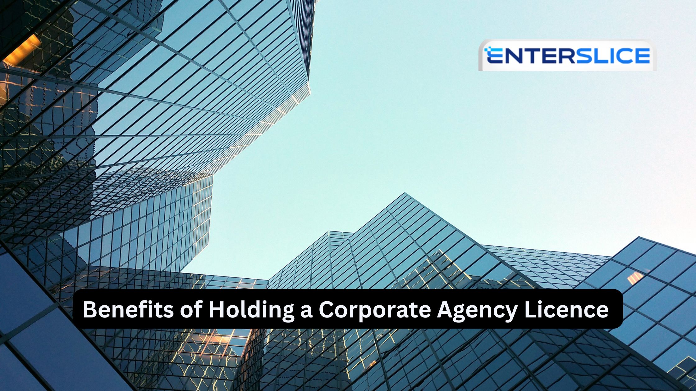 Benefits of Holding a Corporate Agency Licence