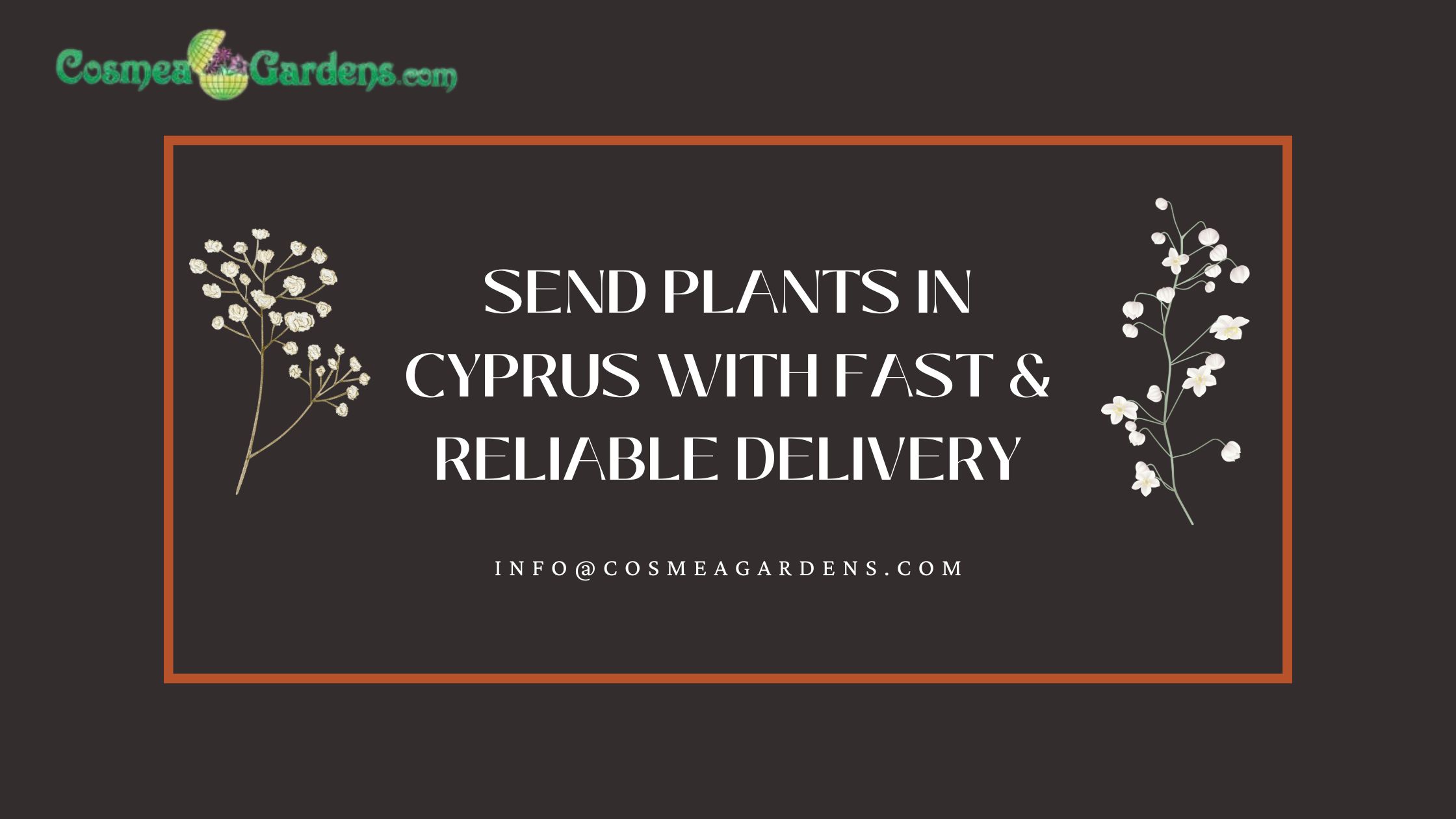 buy plants online cyprus