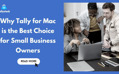 Why is Tally for Mac the Best Choice for Small Business Owners?